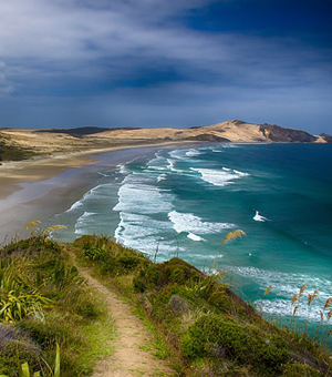 手机版ddos攻击器